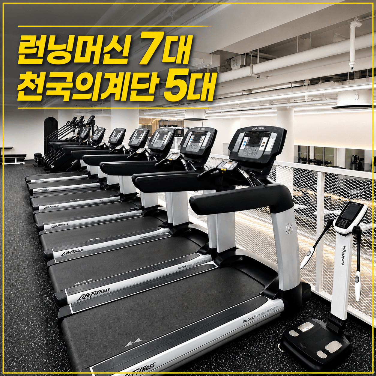 크레이지독스짐 방배역점 카디오존